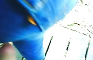 video sexe: Poussins engagés dans le sexe lesbien sur la video sexe gratuit amateur table de billard